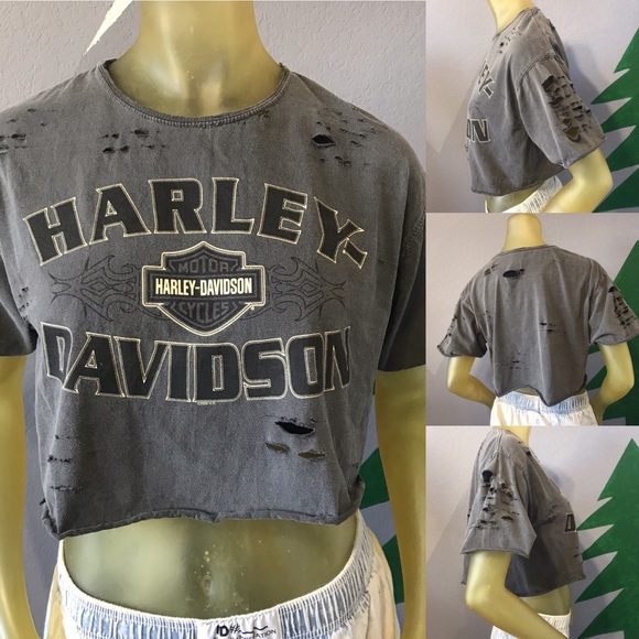Harley-Davidson Tops - Harley-Davidson Motorcycles Distressed Cropped Tee